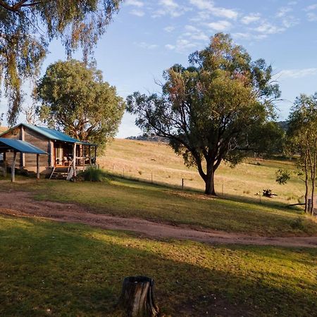 Gaddleen Grove Cottages Wodonga Exterior foto