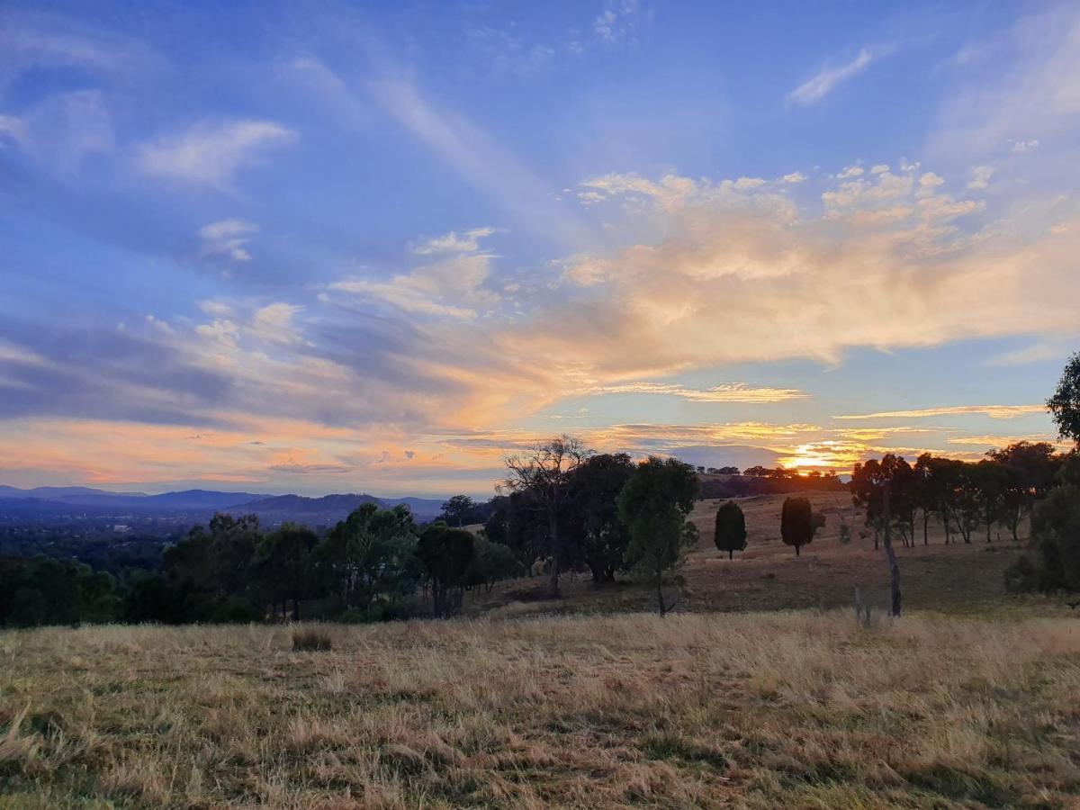 Gaddleen Grove Cottages Wodonga Exterior foto